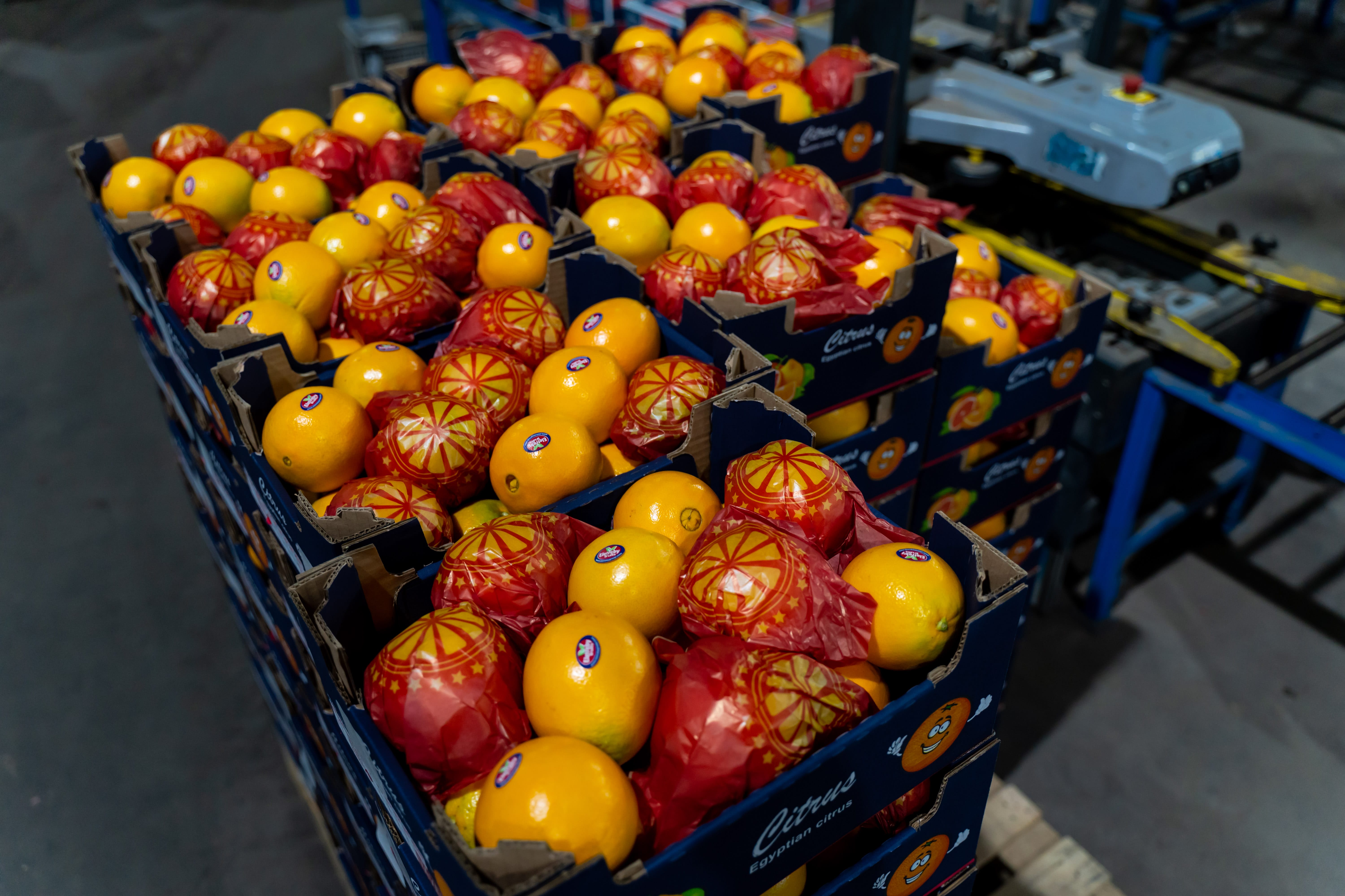 Eletreby Group Gallery Image 8