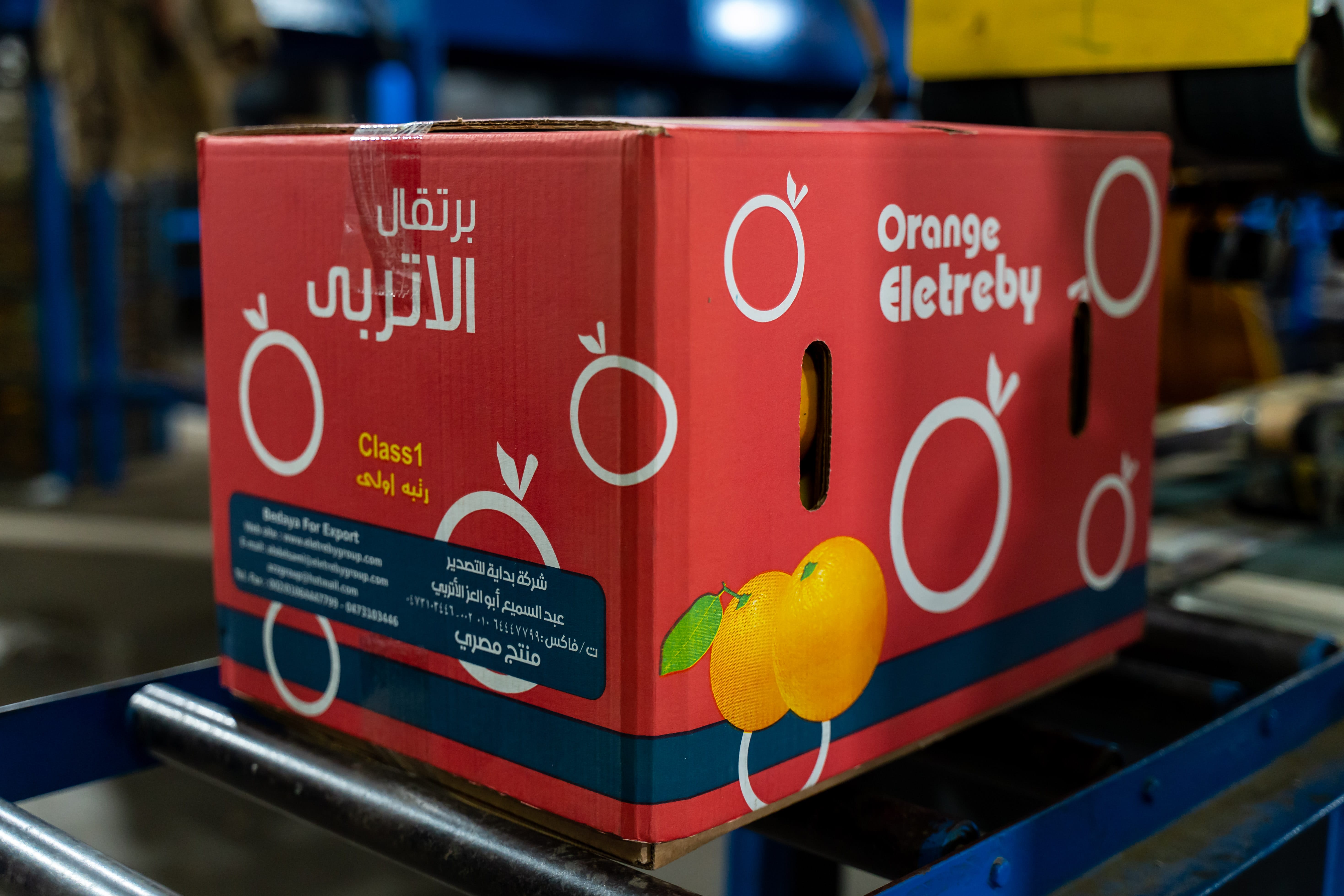 Eletreby Group Gallery Image 9