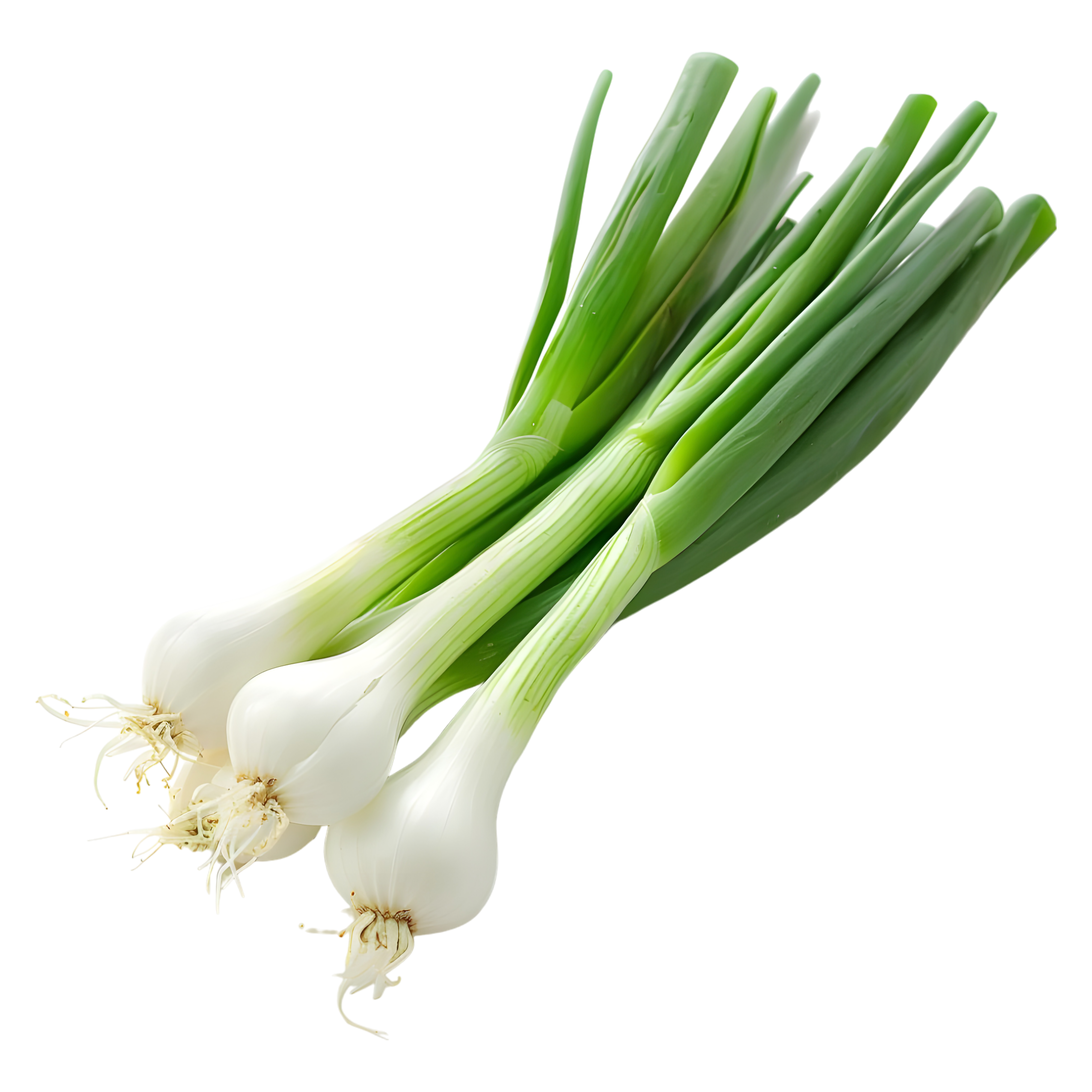 Spring Onions